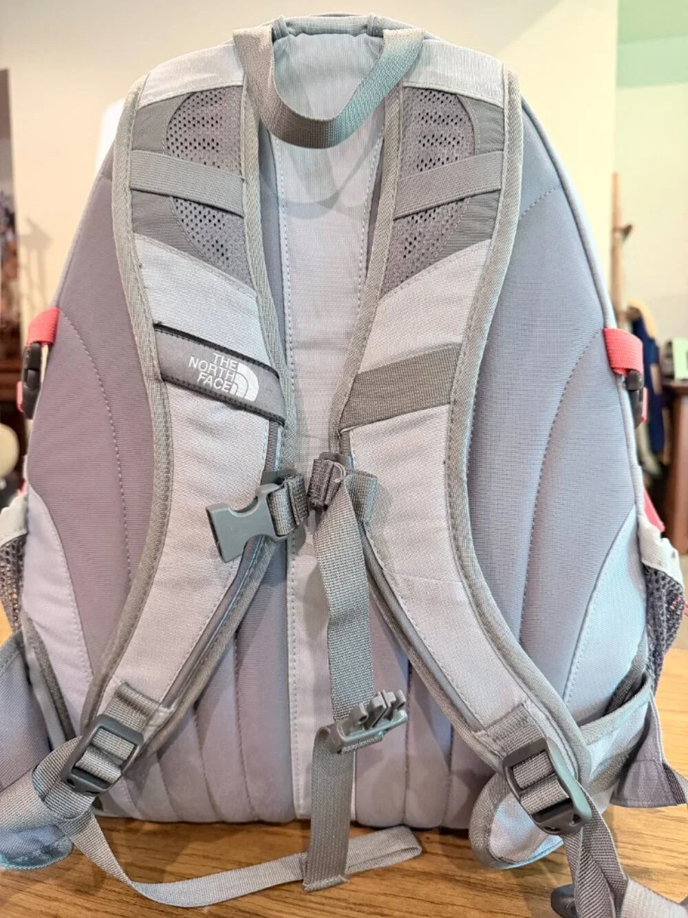 The North Face Borealis Gray/Coral Backpack